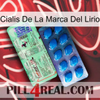 Lily Brand Cialis new02